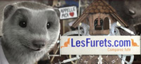 Un publicité pour le site LesFurets.com